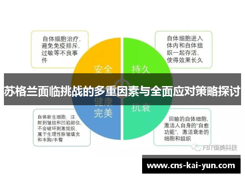 苏格兰面临挑战的多重因素与全面应对策略探讨