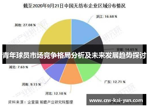 青年球员市场竞争格局分析及未来发展趋势探讨 青年球员市场竞争格局分析及未来发展趋势探讨